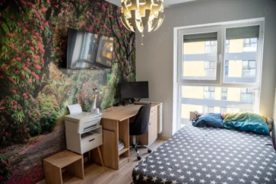Apartament 4 camere Hercesa