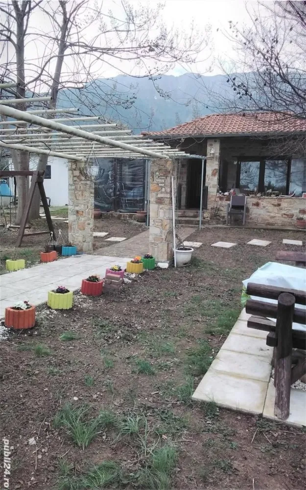 Skala Potamia Thassos-casa piatră+studio+cabană lemn,dependinte, 2500mp teren,700m până la mare.... - Casa construita din piatră ,traditionala cu 2 camere,baie,bucătărie, A C,TV,balcon, terasă,mobilata complet+
Cabana de lemn cu baie proprie,mobilata complet,A C,TV,izolata exterior si
2- Studio garsoniere, construite din caramida,baie,bucatarie,terasa,A C,TV,Mobilatecomplet
2500mp curte superba,pomi fructiferi,maslini, kiwi, lotus
700 m până la plaja