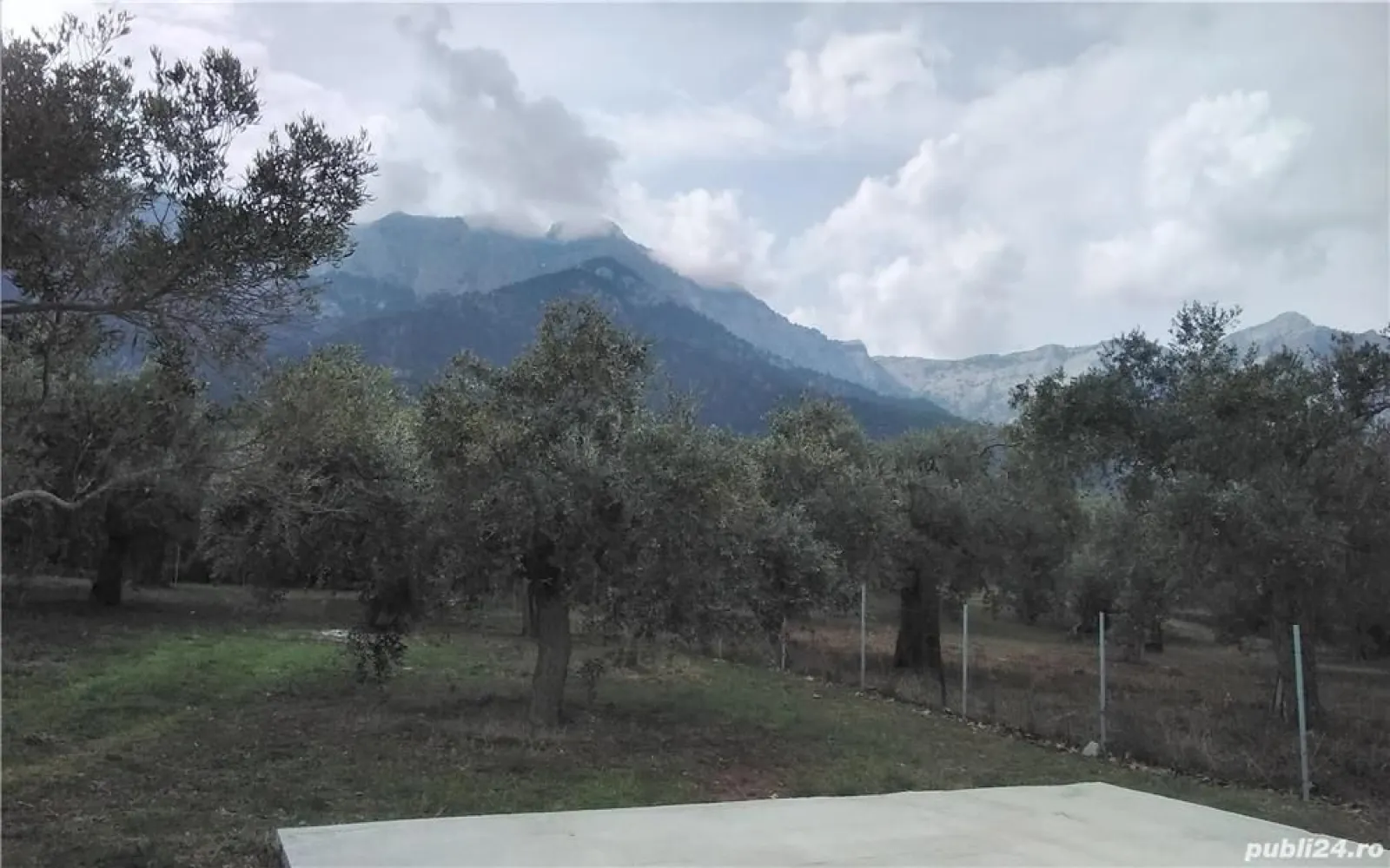 Skala Potamia Thassos-casa piatră+studio+cabană lemn,dependinte, 2500mp teren,700m până la mare.... - Casa construita din piatră ,traditionala cu 2 camere,baie,bucătărie, A C,TV,balcon, terasă,mobilata complet+
Cabana de lemn cu baie proprie,mobilata complet,A C,TV,izolata exterior si
2- Studio garsoniere, construite din caramida,baie,bucatarie,terasa,A C,TV,Mobilatecomplet
2500mp curte superba,pomi fructiferi,maslini, kiwi, lotus
700 m până la plaja
