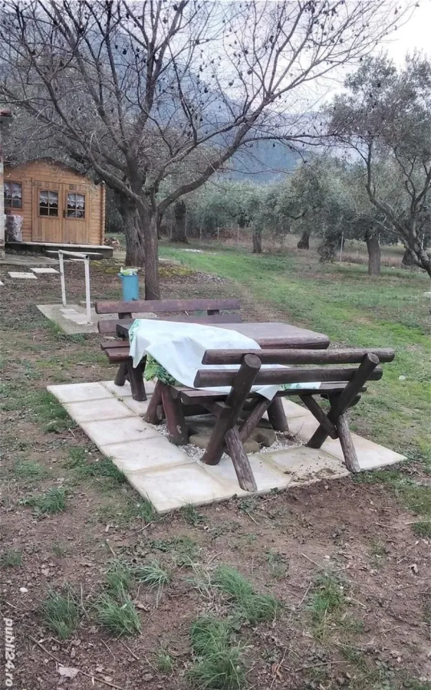 Skala Potamia Thassos-casa piatră+studio+cabană lemn,dependinte, 2500mp teren,700m până la mare.... - Casa construita din piatră ,traditionala cu 2 camere,baie,bucătărie, A C,TV,balcon, terasă,mobilata complet+
Cabana de lemn cu baie proprie,mobilata complet,A C,TV,izolata exterior si
2- Studio garsoniere, construite din caramida,baie,bucatarie,terasa,A C,TV,Mobilatecomplet
2500mp curte superba,pomi fructiferi,maslini, kiwi, lotus
700 m până la plaja