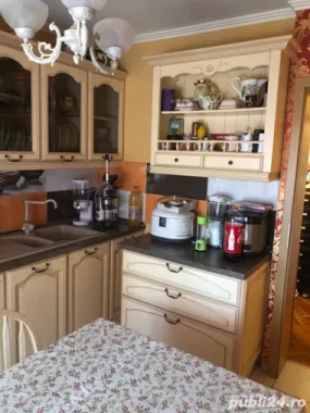 Apartament Calea MOSILOR 229