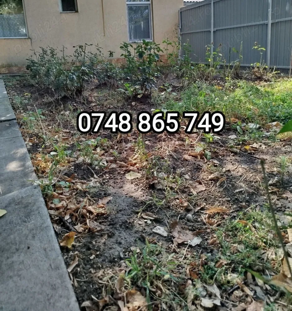 OPORTUNITATE ! Casa 3 C 100 m + teren 350 m , P de Piatra_Palas Campus - OPORTUNITATE !!

Se ofera spre vanzare o casa plan parter, situata intr-o zona ravnita a municipiului Iasi ,Podul de Piatra_ Palas Campus , construita pe un teren de 350 mp .

Imobilul, are structura din caramida , fundatie din piatra , trei camere , baie si o bucatarie, avand suprafata construita la sol de 100 m .

In curte mai este construita o bucatarie de vara si un garaj pentru masina.

Casa este racordata la toate utilitatile zonei ( gaz, apa , lumina, canalizare ) , deschidere la doua strazi .

Datorita pozitionarii ( 5 minute mers pe jos pana la la Catredrala Mitropolitana,) este ideala atat pentru locuit cat si pentru INVESTITIE .

Pretul de vanzare este de 275.000 euro

Pentru informatii suplimentare si vizionare

 Cristi O_7_4_8_8_6_5_7_4_9