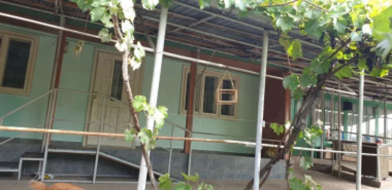 Vand casa bătrânesca