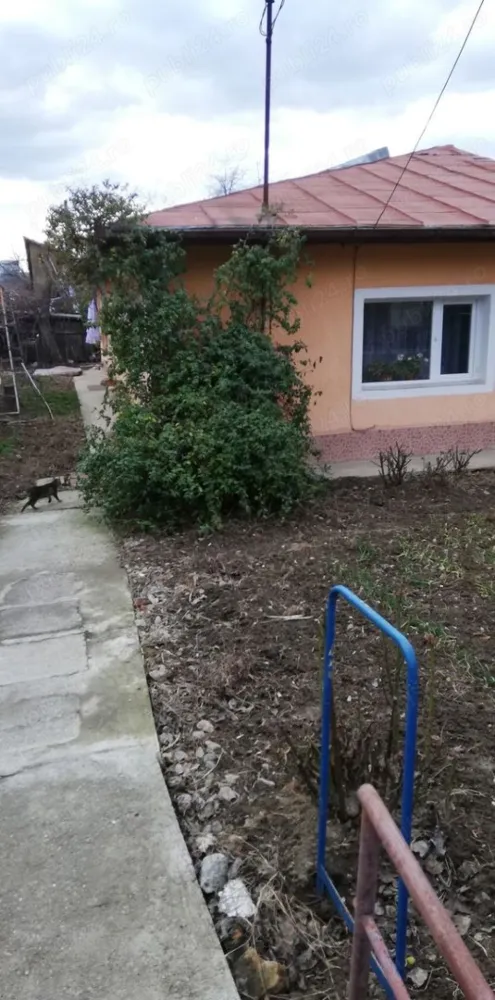 Casa de vânzare cu teren - Persoana fizica propune spre vanzare in Iaşi o casa cu teren situat in imediata apropriare de Piața Pacurari, Gradina Botanica, Şcoala gimnaziala Ion Creanga , Moara de Foc si acces spre Copou.Suprafața totala a terenului din masuratori cadastrale este de 290mp iar construcția C1-casa de locuit avind o suprafata de 61mp, structurat pe 2 camere, bucatarie, baie, camara si hol. Beneficiaza de centrala termica , geamuri din termopan , racordat la utilitați-apa, curent electric , gaz. Proprietatea este inscrisâ in cartea funciara si deține certificat energetic.
Aceasta casa reprezinta o oportunitate ,putând fi reabilitata și transformata intr-un spațiu de locuit modern. De aseamenea , aceasta se afla in imediata apropriare de multiple magazine, cabinete medicale, notari publici, banci si farmacii, beneficiind astfel de diverse facilitati și sevicii. 

Vinzare directa doar persoane fizice fara agentii imobiliare.Preț usor negociabil. me