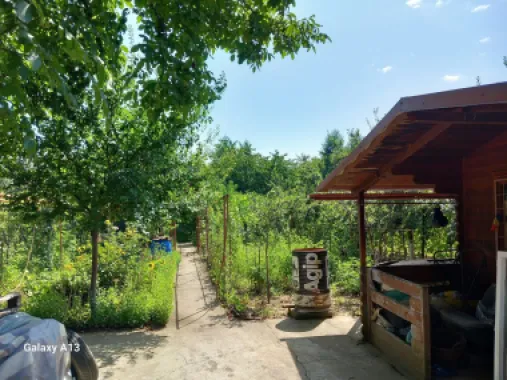 Ag EUROPA vinde teren BERCU ROSU toate utilitatile și casa vacanta.