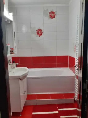BRASADAS vinde ap 3 cam 48mp la PARTER în Micro 16.