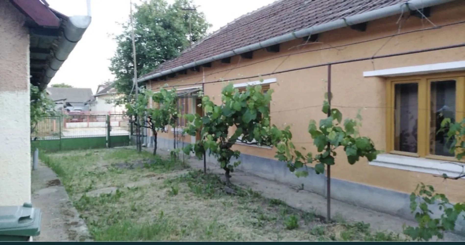 Ocazie Unica-2 Case+1 loc teren - Vând proprietate Chereușa Jud Satu mare la drumul principal cu 2 case + loc casa/ teren , Bucătărie de vara cu beci in subsol și gospodărie pentru animale . Ideal pentru o familie extinsă și / sau afacere !
Casa portocalie 2800mp
Casa- 2 camere, baie , Bucătărie + Bucătărie de vara , beci , gospodărie pentru animale 

Casa gri 1467 mp 

Casa 3 camere locuibil și/ sau amenajat pentru spațiu comercial 
Loc casa teren 1400 mp 
Total 5667 mp 

REȚEA DE GAZ LA STRADĂ !!!!
Preț 39.900 euro !!!
Pentru mai multe informații va rugam se ne contactați prin WhatsApp 001-312-451-3724 Și telefon mobil : 0 ************21 Nicu 
0 **********98 Giorgi