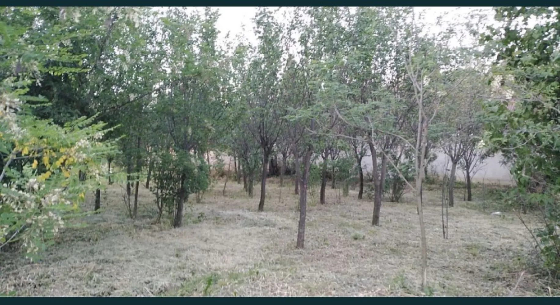 Ocazie Unica-2 Case+1 loc teren - Vând proprietate Chereușa Jud Satu mare la drumul principal cu 2 case + loc casa/ teren , Bucătărie de vara cu beci in subsol și gospodărie pentru animale . Ideal pentru o familie extinsă și / sau afacere !
Casa portocalie 2800mp
Casa- 2 camere, baie , Bucătărie + Bucătărie de vara , beci , gospodărie pentru animale 

Casa gri 1467 mp 

Casa 3 camere locuibil și/ sau amenajat pentru spațiu comercial 
Loc casa teren 1400 mp 
Total 5667 mp 

REȚEA DE GAZ LA STRADĂ !!!!
Preț 39.900 euro !!!
Pentru mai multe informații va rugam se ne contactați prin WhatsApp 001-312-451-3724 Și telefon mobil : 0 ************21 Nicu 
0 **********98 Giorgi