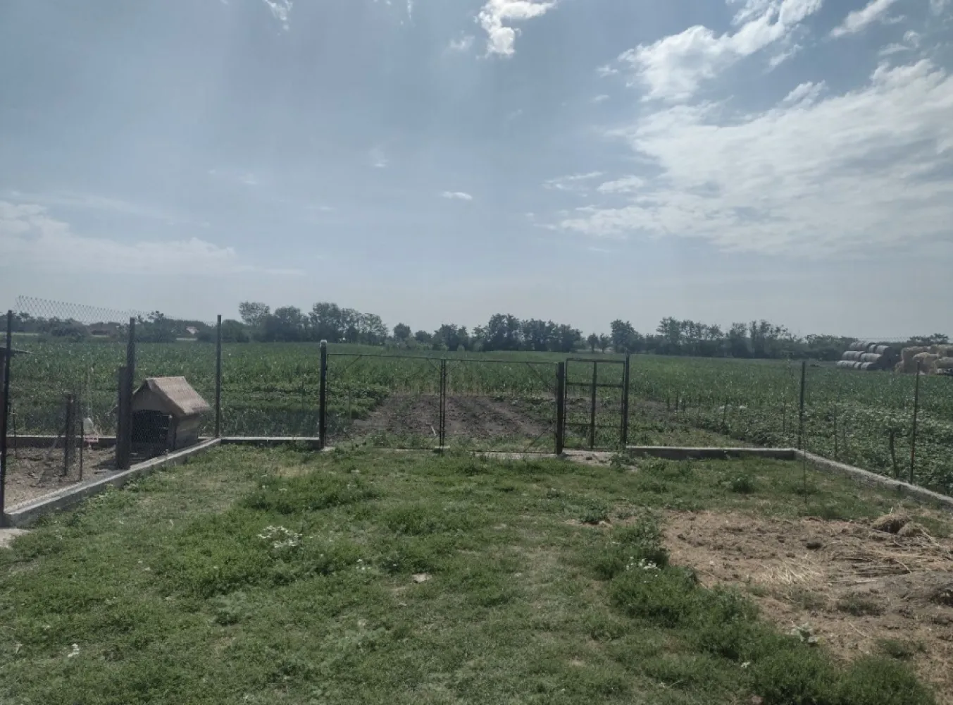 Vand urgent Casa (Boghis SM) sau schimb cu aprtament - Vând casă în sat Boghiș, Nr 27 comuna Doba sau schimb cu apartament in Satu Mare, strada principală șosea modernă reabilitată. Suprafața 
reprezentând in natură teren intravilan, în suprafață de 3526 mp, din care 830 mp categoria de folosință a curți construcții ( având front de 18 m ) și 2696 mp categoria de folosință arabil . Casa de locuit are suprafața construită la sol de 137 mp fiind compusă din:
- 2 camere( 1 camera necesita renovată)
- 2 holuri
- 1 camera de baie( necesită finisată )
- 1 bucătărie ( necesită renovată )
Casa este construită din hoioagă , pereții având grosimea de 50 cm.
Pt mai multe detalii contactați telefonic! 07******61