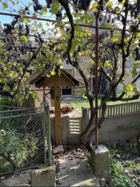 Vand casa la tara