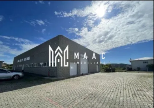 Logo MAAC IMOBILIARE logo