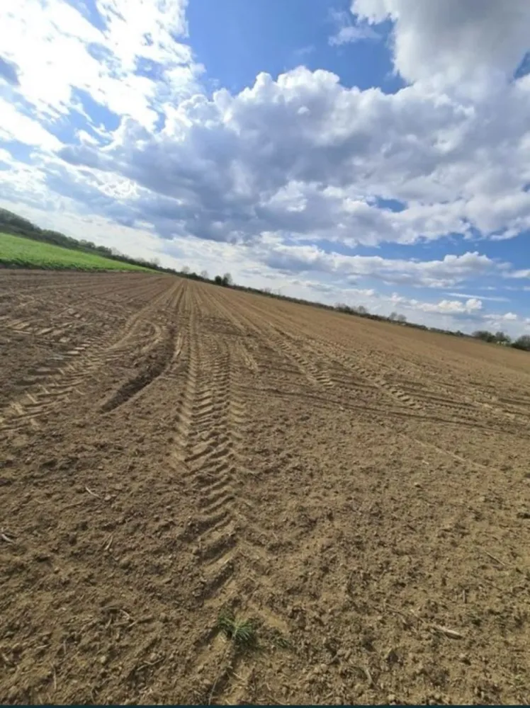 Vand teren extravilan in Martinesti - De vănzare teren extravilan in Localitatea Mărtinești!
Suprafața locului este de 50 de ari!
Prețul terenului este de 490 de euro/arie,prețul este ușor negociabil!