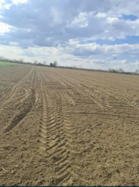Vand teren extravilan in Martinesti