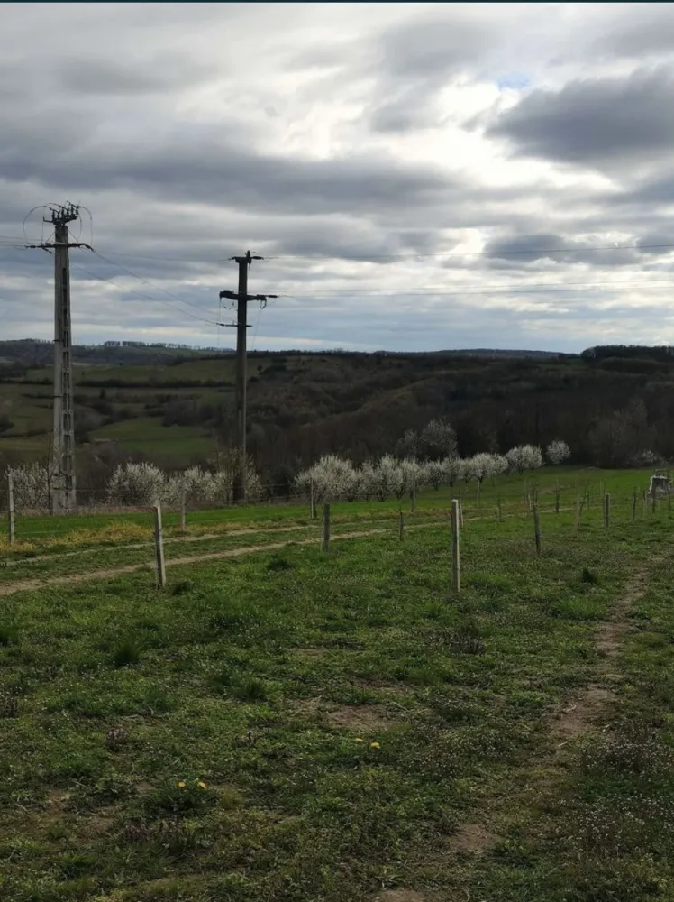 Teren cu o priveliste superba langa padure - Teren cu o priveliste superba chiar lângă pădure. Este cel mai frumos din acea zona. Are drum de acces și curentul la 15 m distanta,se afla la 100 m de asfalt având drum pietruit pe acea distanta. Terenul este extravilan dar se poate trece și în intravilan. Terenul se afla la ieșirea din Barsau de Jos înspre Poiana Codrului la limita satelor pe vârf de culme. Terenul are sup de 35 ari pe teren este lăsat în partea de la strada loc de cabana sau casa, pe teren sunt plantați 108 pomi fructifer 3 rânduri jumate de meri si unul de peri de diferite soiuri, sunt anul 3 de la plantare. Iar pe partea de jos pe o parcela de 12 ari, adică 39 buc sunt plantati nuci Geoagiu 65 find primul an de la plantare. Pozele sunt mai vechi neavând la publicarea anunțului altele. Terenul nu este intabulat momentan dar se poate intabula fără probleme la cerere sau îl intabula noul proprietar. Momentan este împrejmuit cu gard electric cu 4 fire. Este un loc ideal de o cabana sau o mica pensiune sau alte proiecte. Prețul este discutabil la fata locului. Mai multe detalii la tel. Dacă nu am semnal trimiteți un sms și va resun eu.