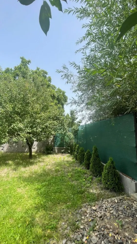 Vând teren intravilan, Str Dealului 64 - 936 mp,front stradal 13.4 m - Vând teren intravilan (împrejmuit) în suprafață de 936 mp,front stradal 13,40 m. Terenul este situat in Satu Mare str Dealului nr 64 .

 Pretabil construcții case,hale industriale s-au utilizabil ptr agricultura (pământ fertil).Utilități;apă puț forat, curent la stradă. Gaz , canalizare în apropiere (100 m).Preț 36000 Euro. Inf telefon 07******47