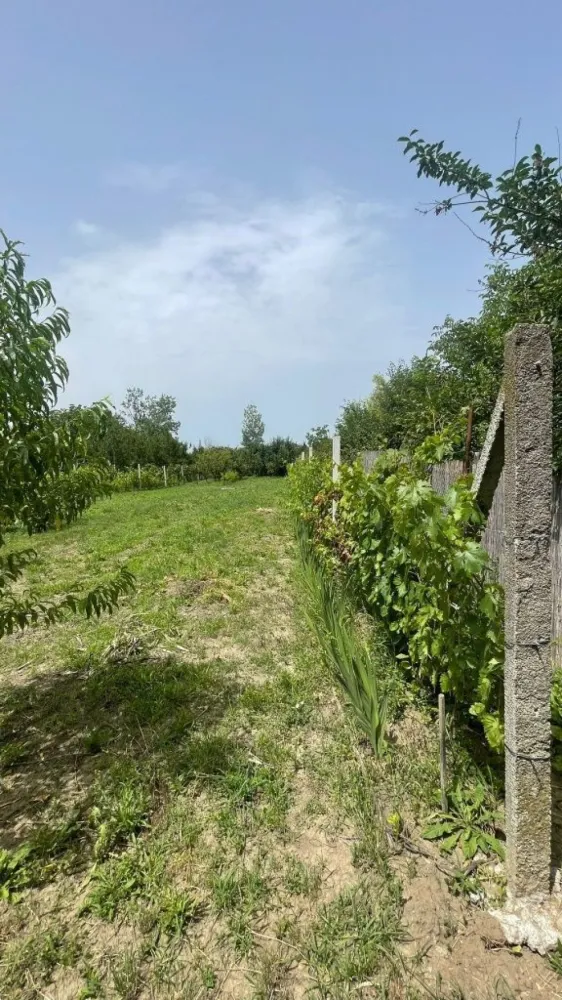 Vând teren intravilan, Str Dealului 64 - 936 mp,front stradal 13.4 m - Vând teren intravilan (împrejmuit) în suprafață de 936 mp,front stradal 13,40 m. Terenul este situat in Satu Mare str Dealului nr 64 .

 Pretabil construcții case,hale industriale s-au utilizabil ptr agricultura (pământ fertil).Utilități;apă puț forat, curent la stradă. Gaz , canalizare în apropiere (100 m).Preț 36000 Euro. Inf telefon 07******47