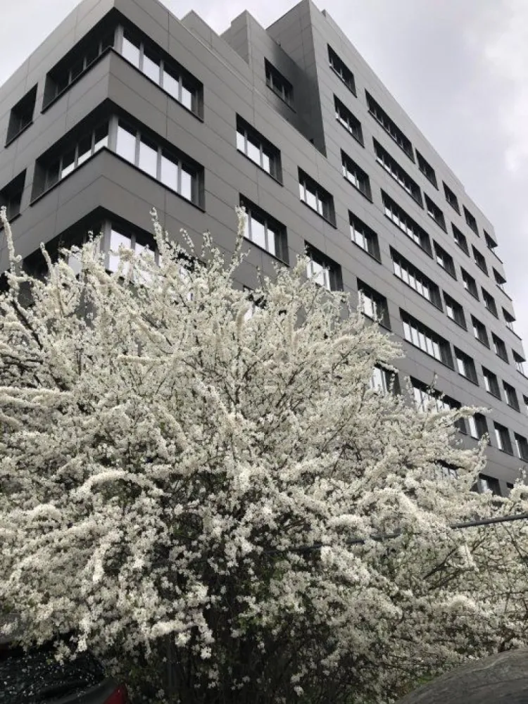 Spatiu comercial si birouri intersectie Timpuri Noi, suprafata 250mp+terasa, - Cladire 8 etaje, noua, in 2023 finisata pentru inchiriere/ 
Spatiu comercial sau de birouri la parter. 
Spatiu de inchiriat parter interior 250mp util iar pretul include si terasa exterioara de 150mp cu pretul negociabil si acces separat spre strada principala
Contorizare separata parter
Spatii pe etaj cuprinse intre 200mp si 370mp la fiecare etaj .