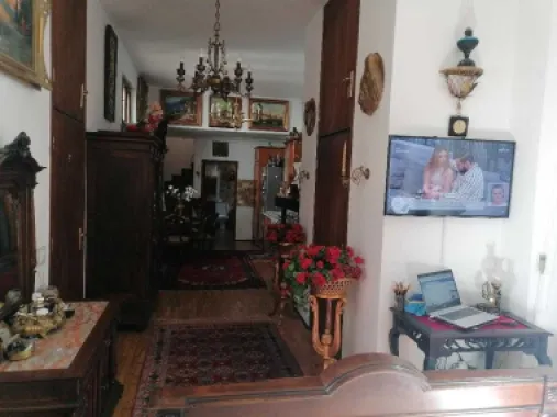 COTROCENI - Cuibușorul de nebunii al pictorului Zamfir DUMITRESCU