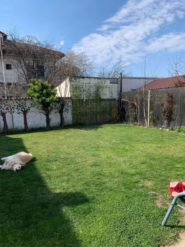 Vand casa curte + teren + SPATIU COMERCIAL - Direct proprietar, vând casa la curte + spațiu comercial, situate pe Șos Chitilei, front stradal spațiu 12.5 ml.
Spațiul comercial 73 m2, face parte din casa cu ieșire directa la strada, închiriat în prezent cu 700 euro/luna.
Casă S+P+M + curte 450.
S: 35m2
P+M: 180 mp
CURTE LIBERA : 248 mp
MAGAZIE INCHISA: 16 mp
Proprietatea dispune de toate utilitățile: canalizare,apa curenta, gaze,centrala termica,puț apa.
Se vinde complet mobilat și utilat, electrocasnice, mobila lemn masiv.
Renovata în anul 2021.