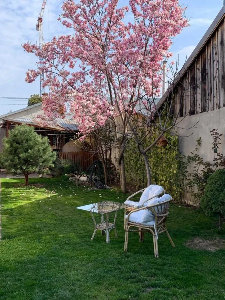 Vand casa curte + teren + SPATIU COMERCIAL - Direct proprietar, vând casa la curte + spațiu comercial, situate pe Șos Chitilei, front stradal spațiu 12.5 ml.
Spațiul comercial 73 m2, face parte din casa cu ieșire directa la strada, închiriat în prezent cu 700 euro/luna.
Casă S+P+M + curte 450.
S: 35m2
P+M: 180 mp
CURTE LIBERA : 248 mp
MAGAZIE INCHISA: 16 mp
Proprietatea dispune de toate utilitățile: canalizare,apa curenta, gaze,centrala termica,puț apa.
Se vinde complet mobilat și utilat, electrocasnice, mobila lemn masiv.
Renovata în anul 2021.