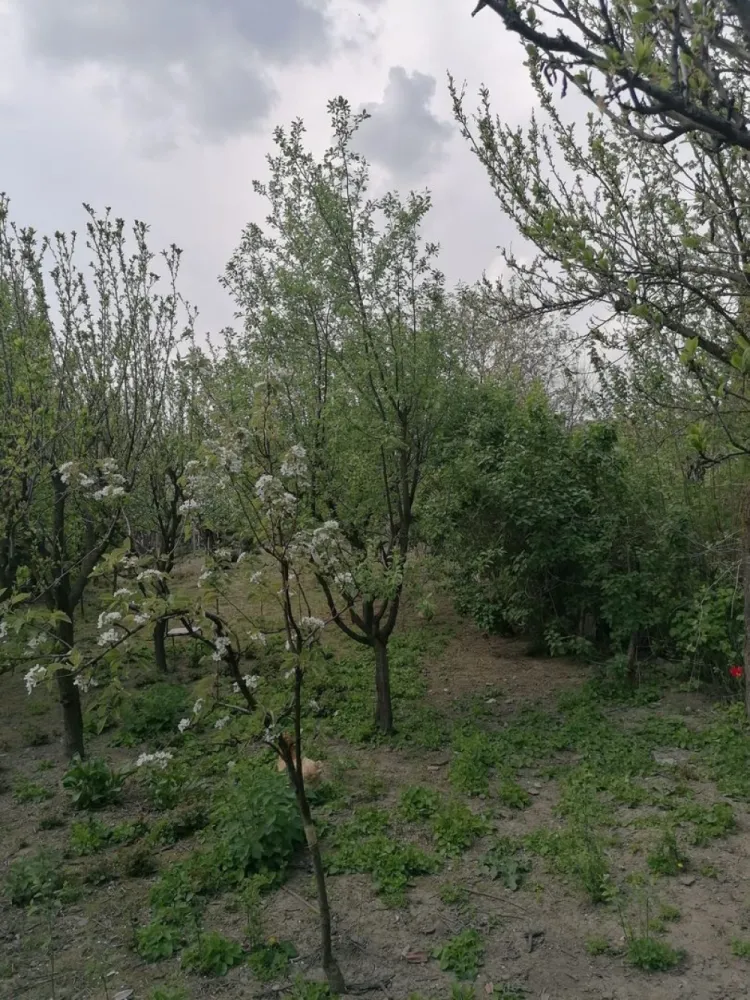 Ag EUROPA vinde casa 6 cam teren 11 ari în zona 14 Mai. - Agenția EUROPA vinde casa cu 6 camere si teren 1100mp în zona 14 Mai.