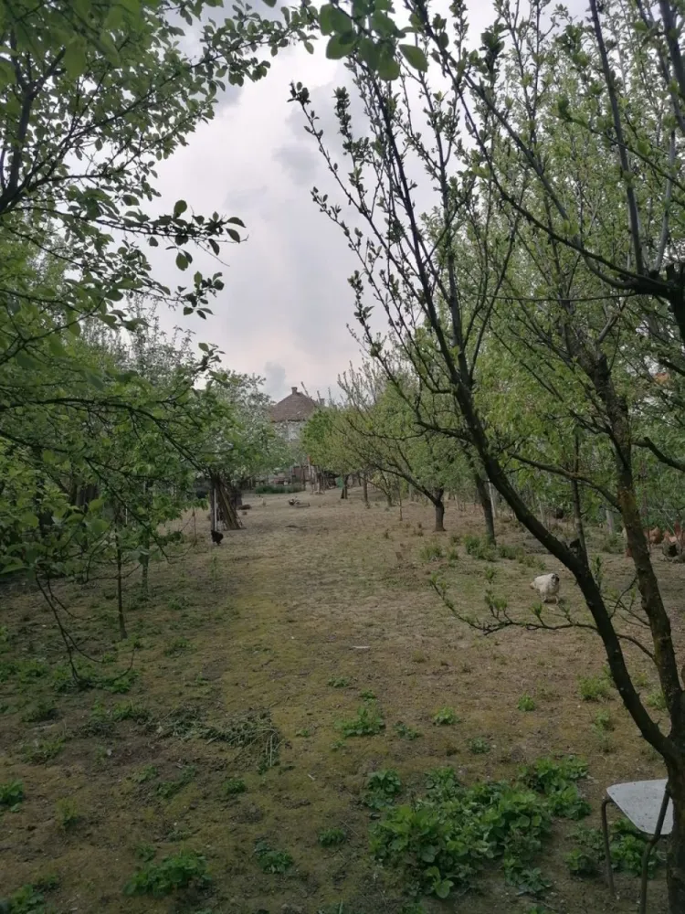 Ag EUROPA vinde casa 6 cam teren 11 ari în zona 14 Mai. - Agenția EUROPA vinde casa cu 6 camere si teren 1100mp în zona 14 Mai.