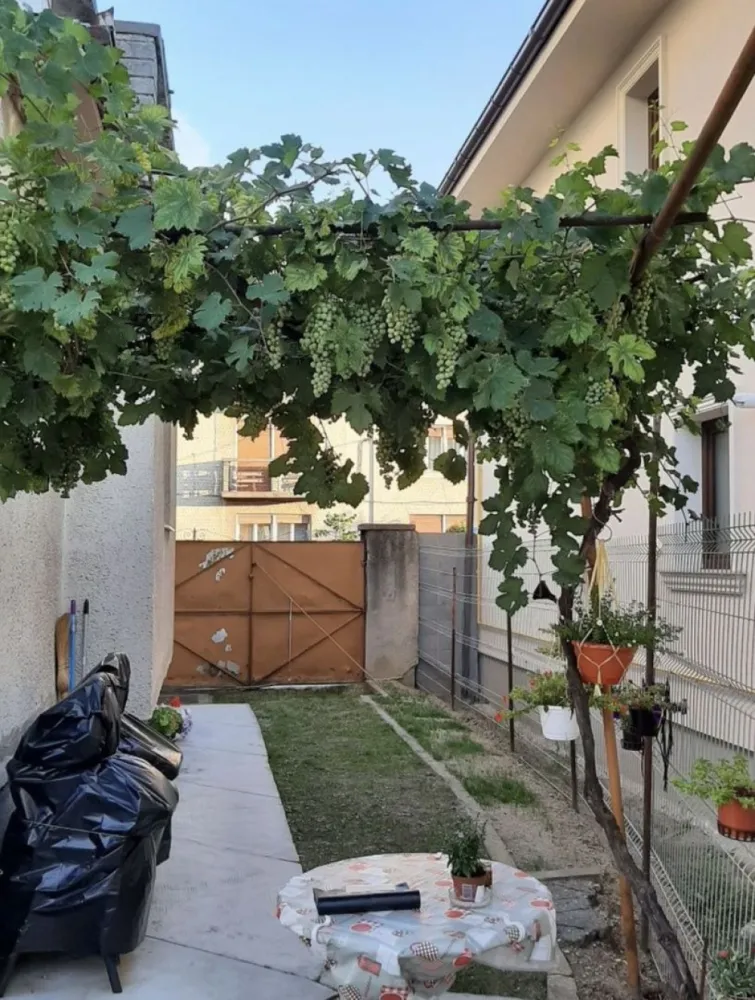ageuropa.ro vinde casa P+2, duplex, zona Piata Mica - Agenția EUROPA vinde casă P +2, duplex, zona piața mică, semicentral, acces auto, 4 camere, bucătărie, 2 băi, pivniță, 125 mp util, teren, 2, 5 ari, renovat interior de 2 ani.