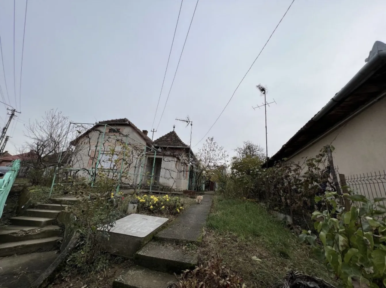 Casa de vanzare in Tasnad, SM oportunitate de investitie - Oportunitate unică de investiție în Tasnad: Casă spațioasă, cu gradina spatioasa cu potențial excepțional de venit.

Caracteristici cheie:
4 camere, 2 bucatarii, baie, debara, pod, beci
Suprafață de 464mp
Curte privată generoasă, perfectă pentru relaxare și divertisment în aer liber

Localizare:

Statiunea-minune cu cea mai purã apa termalã din
România, aflata in Tasnad, jud Satu-Mare vizitat de cca 300.000 oameni lunar.

Proprietatea se află într-o zonă linistita din Tasnad, cu acces rapid la centrul orasului, restaurante și statiunea balneara Tasnad.

Cu o investiție suplimentară pentru renovare și amenajare în stil Airbnb sau casa de vacanta, această proprietate are potențialul de a genera un profit anual impresionant multumita localizarii.

Pentru mai multe detalii sau o vizionare, vă stau la dispozitie la numarul de telefon din anunt.