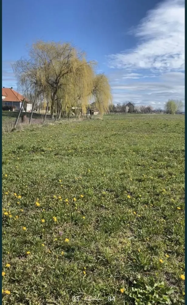 Vind teren intravilan Decebal - Vând teren intravilan in Decebal! 
216 ari, cu drum de acces.
Pretul este pe ar. 
Mai multe detalii in privat
Tel 07******44
