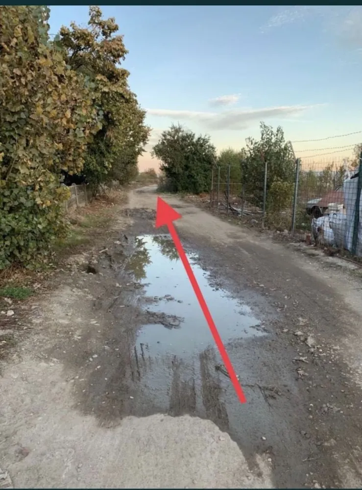 Vand/Schimb Teren Strada Amatului - Terenul este pe strada Amațului Loc.Satu Mare
Momentan sunt plecat informații 
Sau schimb cu apartament 
Tel.+43 660 3290979