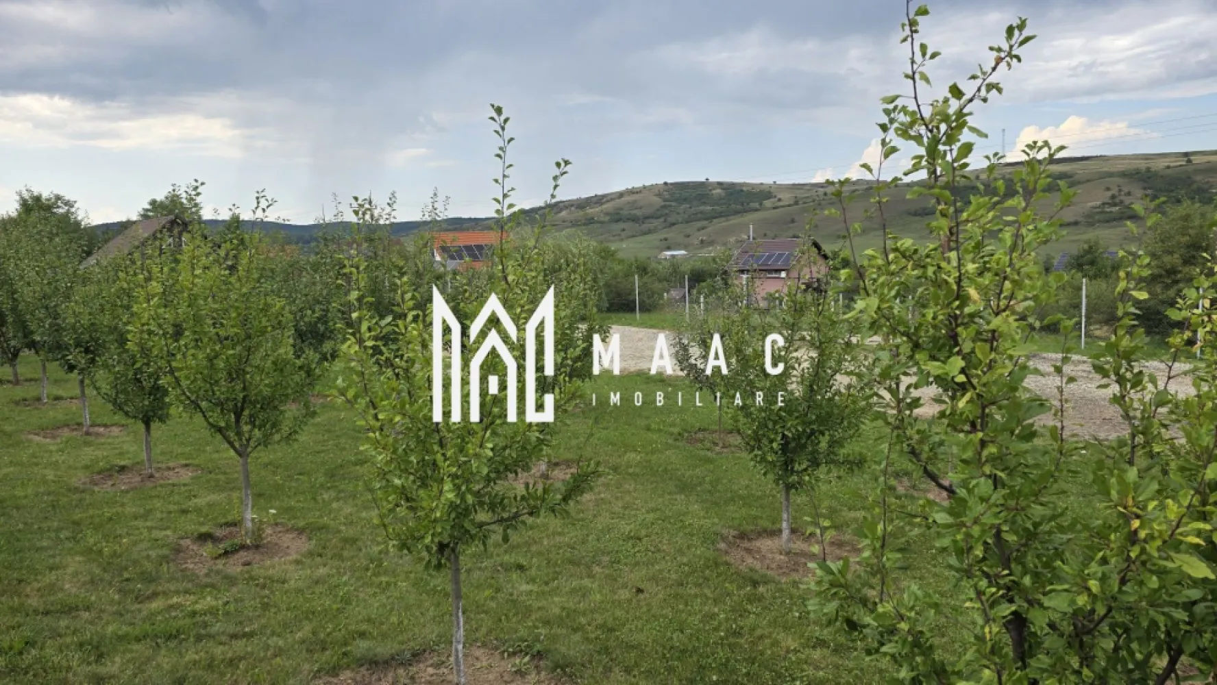 Teren Intravilan | 670 Mp | Daia - MACC Imobiliare vă oferă spre vânzare un teren intravilan situat într-o zonă deosebită, în Daia, comuna Roșia, la doar 15 minute de Sibiu.

-Suprafață teren: 670 mp
- Dimensiuni: 27,2 m x 24 m
- Acces: la două drumuri
- Împrejmuit, cu poartă de acces de 5 metri

 Amenajări existente:

-Aproximativ 30 de pomi fructiferi (diverse soiuri, cu vârsta de 4–5 ani)

-Viță de vie plantată pe două laturi ale terenului

- Zona: liniștită, cu case și cabane construite în apropiere
- Priveliște superbă, într-o zonă în continuă dezvoltare

Acest teren este ideal pentru construirea unei case de vacanță sau a unei locuințe permanente, într-un cadru natural relaxant, dar cu acces facil către Sibiu.

 Pentru mai multe detalii, te rugăm să ne contactezi, menționând ID:CP2658173