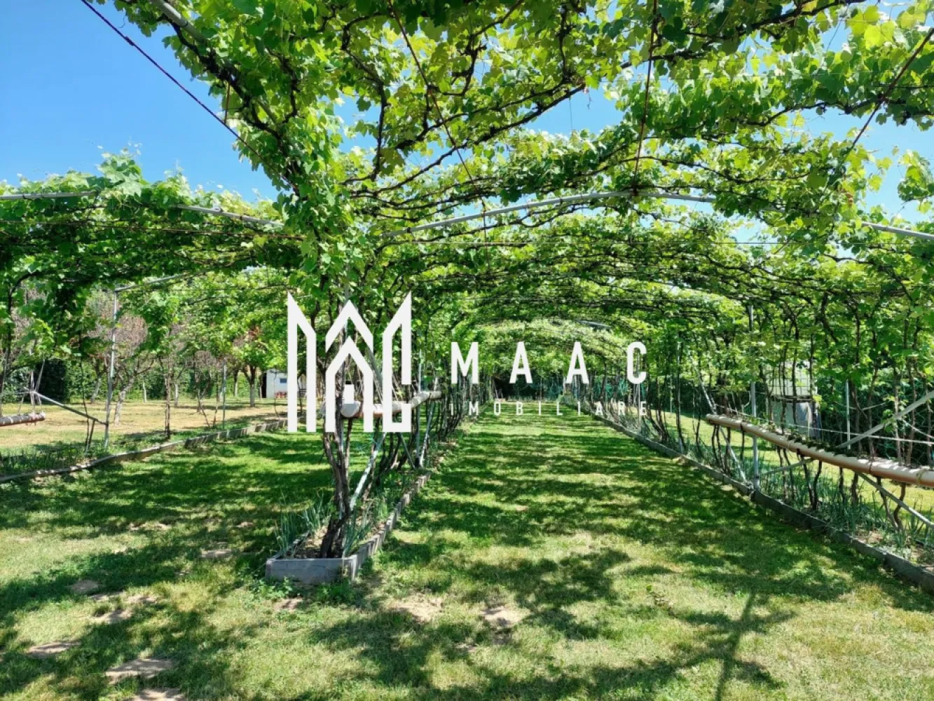 Teren | Intravilan 2.166 Mp | Construcție existenta | Pădurea Dumbrava - MACC Imobiliare vă propune spre vânzare un teren intravilan amplasat într-o zonă naturală deosebit de liniștită, în Tropinii Noi, Sibiu, la doar 10 minute de orașul Sibiu și 5 minute de comuna Rășinari, în apropierea Pădurii Dumbrava – un cadru ideal pentru relaxare și retragere din agitația urbană.

Caracteristici teren:

Suprafață totală: 2.166 mp (compus din două parcele alăturate, fiecare de 1.083 mp)

Teren intravilan, cu încadrare pentru construcție de casă de vacanță

Construcție existentă pe una dintre parcele: 35,75 mp, formată din 2 camere, cu posibilitate de mansardare – ideală pentru locuire temporară sau extindere ulterioară

Acces dublu: atât dinspre strada principală, cât și lateral

Drum de acces neasfaltat

Utilitățile nu sunt pe teren, dar pot fi aduse cu ușurință de la strada principală

Împrejmuit cu gard viu

În zonă există intenție de elaborare PUZ – detalii suplimentare la cerere

Pentru mai multe informații sau pentru a programa o vizionare, nu ezitați să ne contactați ID :CP2618354