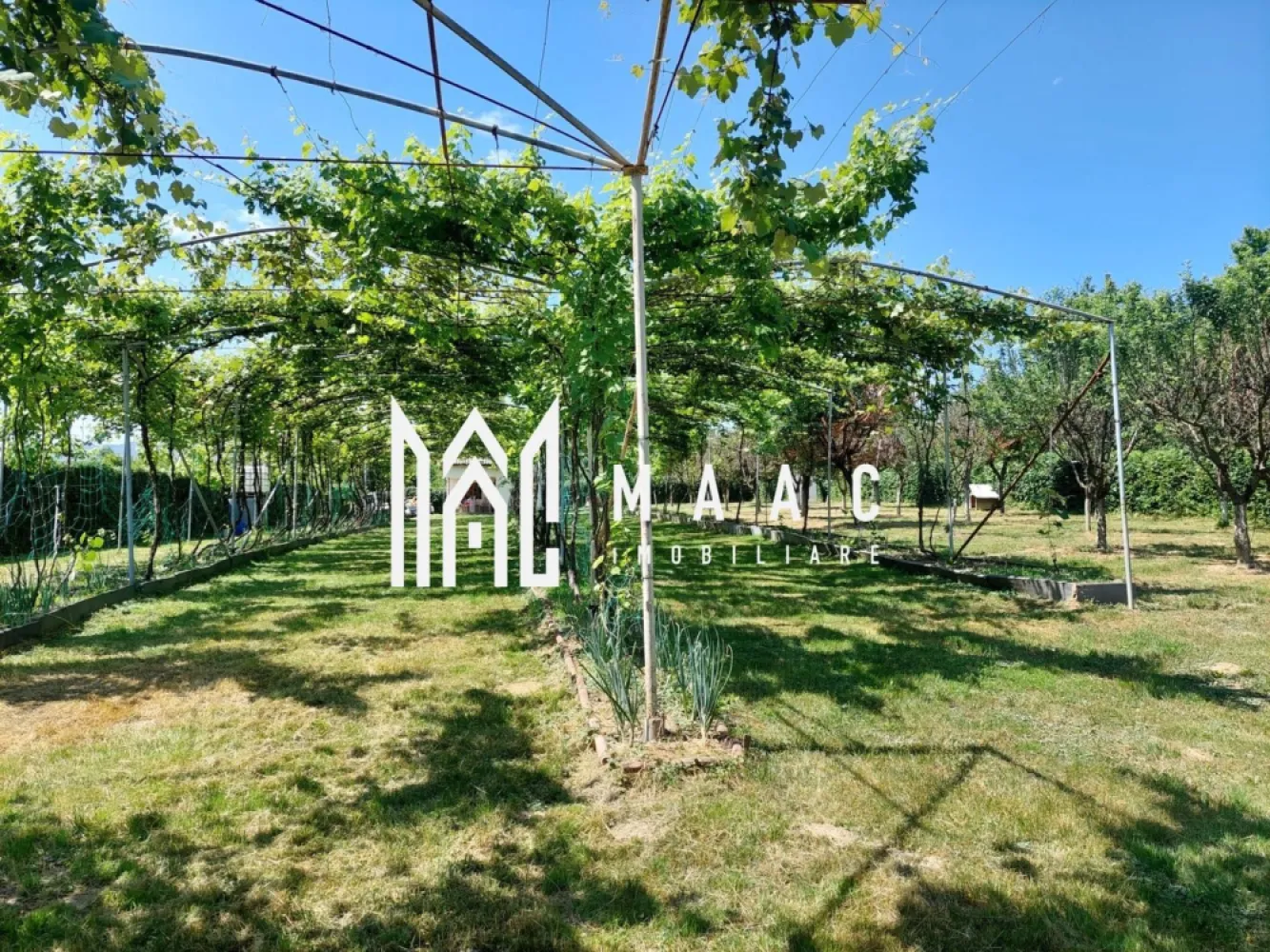 Teren | Intravilan 2.166 Mp | Construcție existenta | Pădurea Dumbrava - MACC Imobiliare vă propune spre vânzare un teren intravilan amplasat într-o zonă naturală deosebit de liniștită, în Tropinii Noi, Sibiu, la doar 10 minute de orașul Sibiu și 5 minute de comuna Rășinari, în apropierea Pădurii Dumbrava – un cadru ideal pentru relaxare și retragere din agitația urbană.

Caracteristici teren:

Suprafață totală: 2.166 mp (compus din două parcele alăturate, fiecare de 1.083 mp)

Teren intravilan, cu încadrare pentru construcție de casă de vacanță

Construcție existentă pe una dintre parcele: 35,75 mp, formată din 2 camere, cu posibilitate de mansardare – ideală pentru locuire temporară sau extindere ulterioară

Acces dublu: atât dinspre strada principală, cât și lateral

Drum de acces neasfaltat

Utilitățile nu sunt pe teren, dar pot fi aduse cu ușurință de la strada principală

Împrejmuit cu gard viu

În zonă există intenție de elaborare PUZ – detalii suplimentare la cerere

Pentru mai multe informații sau pentru a programa o vizionare, nu ezitați să ne contactați ID :CP2618354