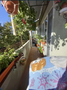 BRASADAS vinde ap 2 cam etaj 4/4 Careiului.