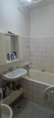 Tineretului