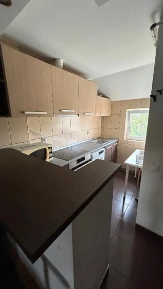 BRASADAS vinde ap 2 cam Dorobanti pe Radu Beller. - Agentia Imobiliara BRASADAS vinde apartament 2 camere, 42 mp in Dorobanti, Str. Radu Beller, etaj 4 din 4, mansarda inalta, stradal, vedere dubla, semidecomandat.
Dotat si utilat complet, mobilier modern, renovat integral in 2021, schimbat gresie, faianta, parchet, usi interior, montat centrala termica pe gaz, refacut instalatiile termice (cupru) si apa (toate tevile noi), corpuri de iluminat. 
Are AC (Panasonic, revizie facuta), frigider (2024), cuptor (2023), plita vitroceramica (2021), masina de spalat (2025). Acoperisul a fost renovat in 2023.

Este un apartament boem cu vedere pe fata spre Parcul Floreasca, pe spate Televiziunea Romana, foarte aproape de parcul Floreasca (in fata vilei), Lacul Floreasca, Sala Floreasca, Piata Dorobanti, cartierul Primaverii. 

Cladirea din 1949 nu este pe lista cu risc seismic, conform actelor a fost locuinta unifamiliala a unui cuplu.

www.brasadas.com.