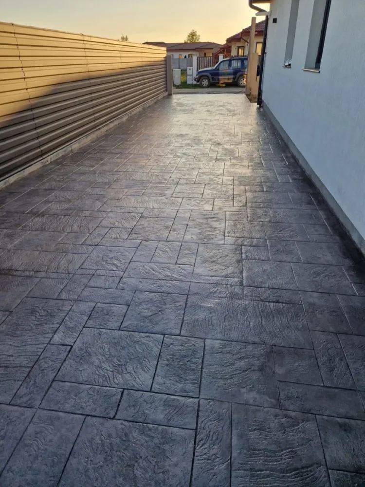 Vand casa str. Giulia ( odoreului )