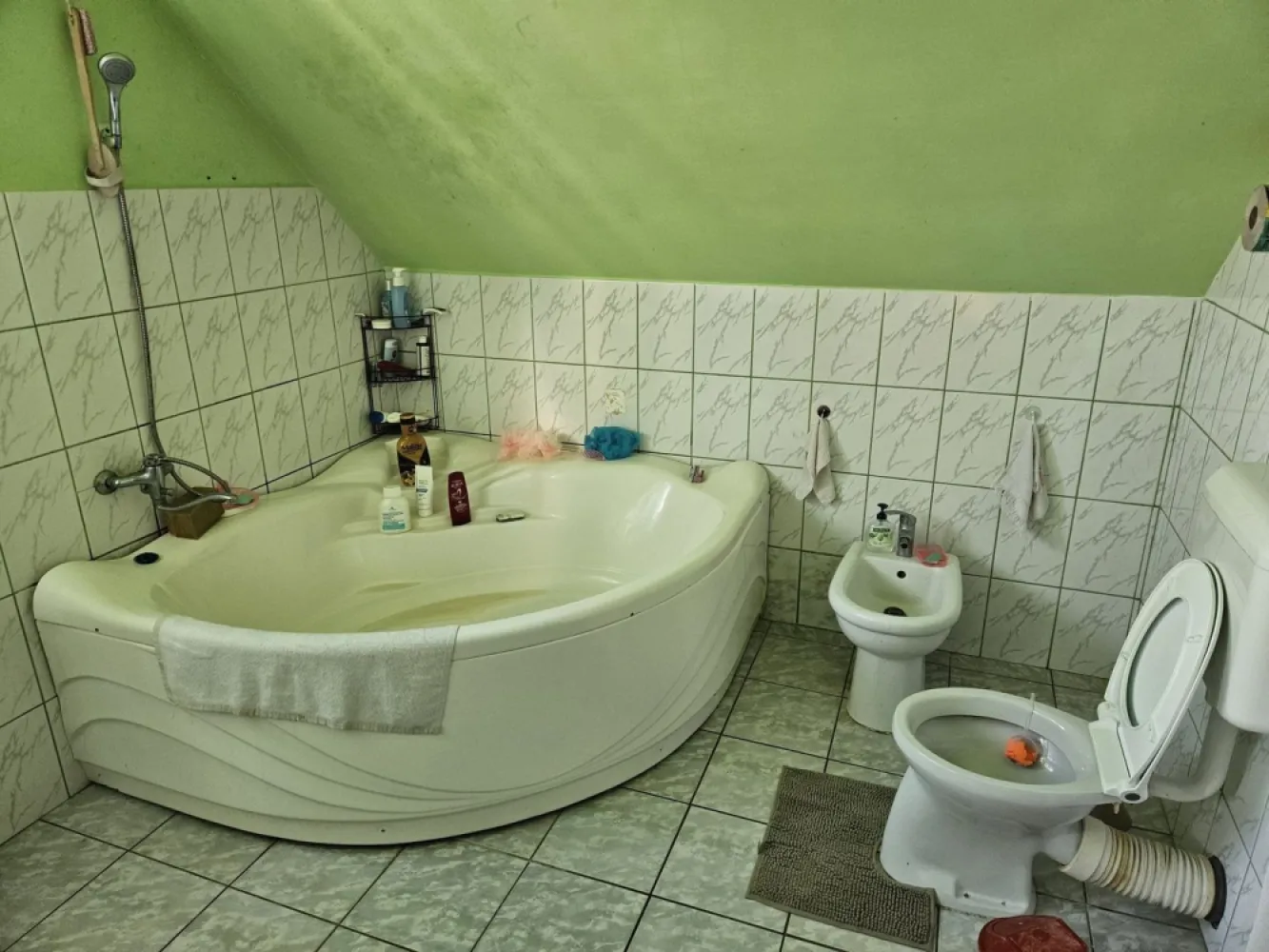 Casă 2 familii / firmă + livadă Satu Mare - Cionchești - Casă 2 familii / firmă + livadă in Cionchești – la doar 2 minute de Satu Mare, zonă liniștită, acces rapid.
Ideală pentru familie mare sau sediu firmă – investiție excelentă!
Teren: 1700 mp
Suprafață construită: 380 mp
Proprietate formată din 2 locuințe separate
Casa principală: 3 dormitoare, 2 băi mari, living spațios și luminos, 2 holuri mari, balcon, terasă mare
A doua locuință (perfectă pentru familie separată sau firmă): 2 camere, bucătărie, terasa inchisa 
In spate - cămară alimente, cameră tehnică, garaj, terasă, atelier / cameră scule, spații depozitare
Dotări moderne: pompă de căldură (achiziționată), panouri fotovoltaice + prosumator (costuri reduse la energie), panou solar pentru apă caldă, izolație exterioară cu polistiren, ferestre termopan, parchet masiv
Exterior: livadă cu pomi fructiferi, vie întreținută, curte mare - ideală pentru relaxare, cuptor + barbeque din cărămidă
Se vinde complet mobilată și utilată – gata de mutat imediat.
Potrivit pentru: familie mare, sediu firmă / birouri, investiție, activitate comercială