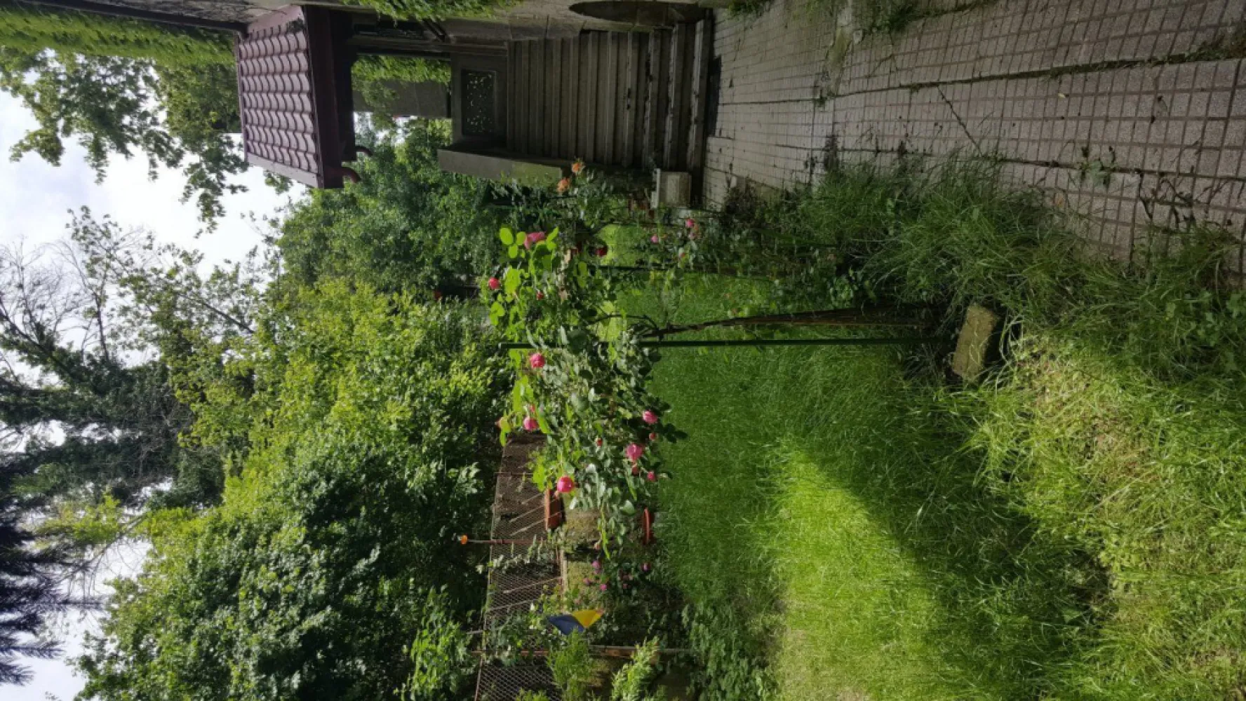 Apartament Floreasca 5 camere proprietar, pozitie superba arhitectura unica - Va propun spre vanzare un apartament cu 5 camere situat intr-o vila interbelica construita in anul 1941 pe una dintre cele mai frumoase si linistite strazi din cartierul Floreasca
Apartamentul este dispus pe un etaj intreg la etajul 1 intr-o vila p+2 retras 
Exclus agentii sau intermediari.
Curte libera 400 in care 108 mp sunt in proprietatea acestui apartament indiviziune comuna in care se regasesc brazi , trandafiri tei prun mar nuc cires cais 
Ca si anexe In proprietatea apartamentului intra 2 boxe la subsol, o camera de depozitare la etajul 2 si o treime din pod precum si spatii de depozitare la demisol+2 locuri de parcare

Vila are o arhitectura deosebita fiind proiectata de un architect Italian
Apartamentul a fost renovat integral pina la caramida in anul 2016 beneficiind de ultimele inovatii tehnologice
Astfel s-au schimbat integral circuitele electrice pe cupru in plus sau tras circuite suplimentare pentru prize , internet si cablu totul fiind marca ABB
Termopanele aplicate au fost din lemn de stejar de la firma Biowind, vopsea pereti Dulux 
Centrala termica Vaillant model 2016 calorifere Kermi Germania incalzire in pardoseala la baie
Usile interioare din lemn masiv au fost reconditionate pastrand eleganta ambientala de altadata
Usa de la intrare din lemn de stejar masiv cu sculpturi applicate , scara renovate lumina pe senzori interfon
Gresie si faianta Marazzi si FAP Ceramiche
Obiecte sanitare Vileroy and Boch , Hansgrohe
Parchetul de stejar a fost reconditionat in totalitate
Pozitia apartamentului de aceste dimensiuni este unica in cartierul Floreasca cu vedere superba inconjurat de verdeata pomi si pasari .practic este situat intre doua parcuri cu vedere la City of Bucharest 
Structura de rezistenta stalpi de beton , plansee de beton , peretii de caramida grosime 60 cm 
Apartamentul este inconjurat de 3 balcoane mari 
Strada este cu sens unic si foarte rar tranzitata datorita amplasarii sensului
Nu are risc seismic , legea112 sau alte vicii de natura legala 
Apartamentul se vinde nemobilat timp eliberare 2 luni
Nu colaborez cu agentii .