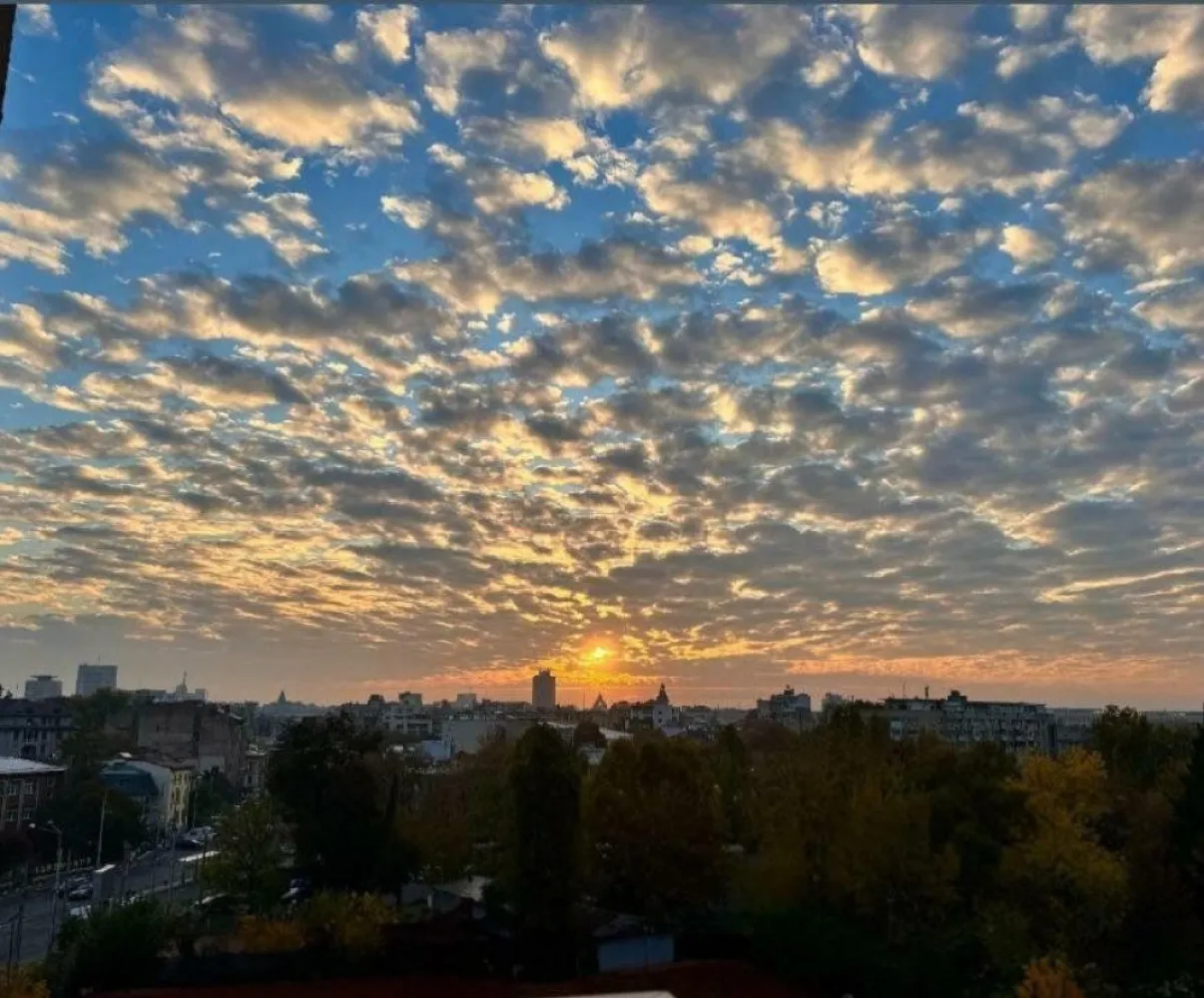 Penthouse lux ultracentral etaj 7 Opera Cotroceni - Penthouse 300 mp plus terasa deasupra de 200 mp cu vederi spectaculoase asupra Bucurestiului.
Spatiul este necompartimentat si poate fi amenajat la cerere.