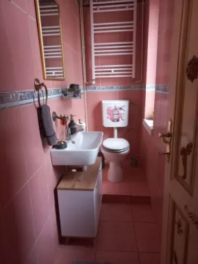 Apartament in vila Gradina Icoanei