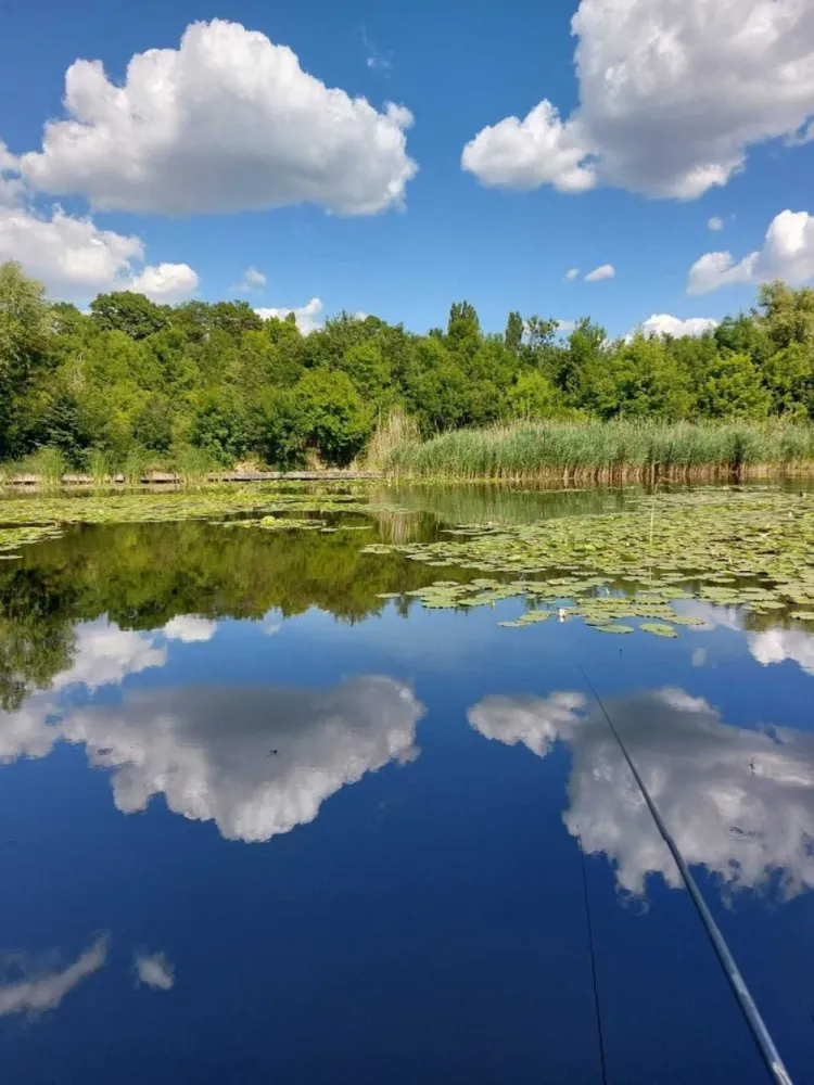 Vila cu ponton la lacul Snagov - Agenția imobiliara BRASADAS vinde vila P+1 in Izvorani, Ilfov, avand o suprafata de 160 m.p., cu iesire si ponton la lacul Snagov. Casa este amplasata in zona Padurii Snagov si a Comitetului Olimpic si Sportiv Roman. Zona este superba si extrem de linistita. Puteti avea propria delta, la mai putin de 30 de minute de Mall Baneasa si la aproximativ 10 minute fata de Corbeanca. Pontonul este foarte mare si se afla in coproprietate cu 4 familii vecine. Vila poate fi folosita atat ca si casa de vacanta, cat si ca locuinta permanenta. Vecini VIP.