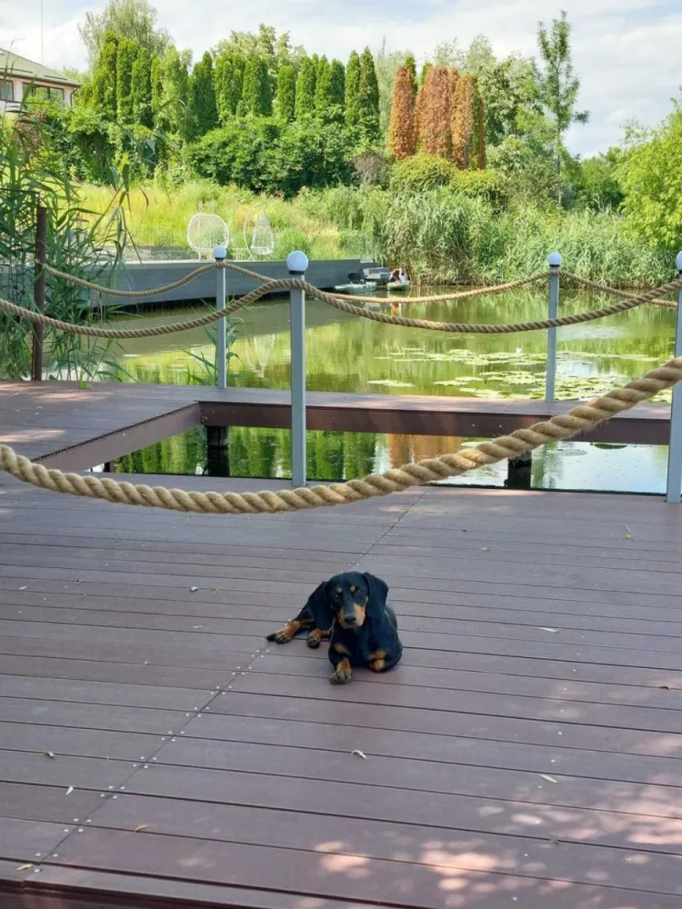 Vila cu ponton la lacul Snagov - Agenția imobiliara BRASADAS vinde vila P+1 in Izvorani, Ilfov, avand o suprafata de 160 m.p., cu iesire si ponton la lacul Snagov. Casa este amplasata in zona Padurii Snagov si a Comitetului Olimpic si Sportiv Roman. Zona este superba si extrem de linistita. Puteti avea propria delta, la mai putin de 30 de minute de Mall Baneasa si la aproximativ 10 minute fata de Corbeanca. Pontonul este foarte mare si se afla in coproprietate cu 4 familii vecine. Vila poate fi folosita atat ca si casa de vacanta, cat si ca locuinta permanenta. Vecini VIP.