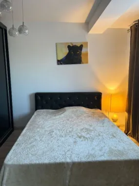 Sau/închiriez casa P+1E capătul Comunei Berceni Mănăstirea Sf. Treime