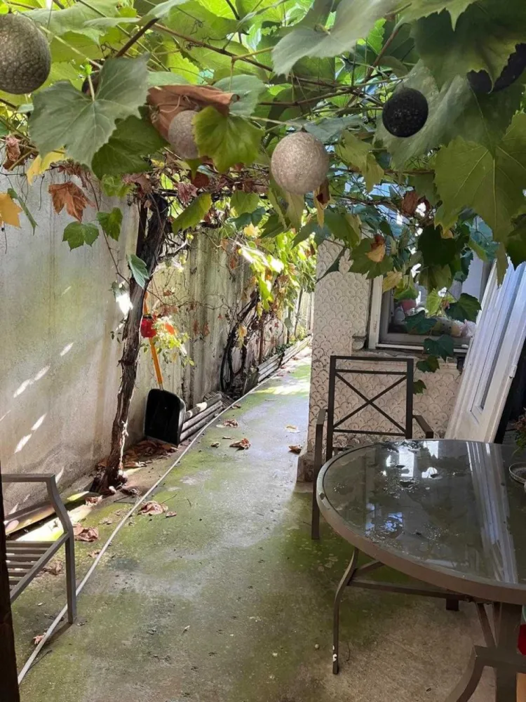 De vanzare casa trei camere - Se vinde!
Casa, trei camere, compartimentare stil vagon, dupa cum urmeaza:
doua dormitoare, sufragerie, hol, antreu, bucatarie, baie, camara, beci.
Podul este dispus pe toata suprafata casei si poate fi mansardat.
Casa dispune de doua intrari/iesiri atat in casa, cat si pe strada - accesul se poate face din strada in curte, dar si din strada direct in bucatarie.

Casa poate fi demolata daca viitorul proprietar doreste acest lucru, fiind o casa veche, dar poate fi si locuita.
Ultima renovare a avut loc in 2017 (complet) si 2023 (partial).
Casa dispune de AC, centrala proprie, parchet, gresie, faianta, termopan.
Pretul este discutabil.

Statia de tramvai 45 si 3 - la 10 min de mers pe jos
Autobuzul 476 - 10 min de mers pe jos
Datorita lucrarilor pentru metrou - Otopeni-1 Mai, momentan este disponibil tramvaiul 53.
La 15 min de mers pe jos se afla Piata 16 februarie, Mega Image, Biserica Sf Andrei
Carrefour Colosseum / Mall Colosseum / Leroy Merlin - 7 min cu masina
Parcul Bazilescu 20 min pe jos
Metroul Bazilescu - 20 min pe jos