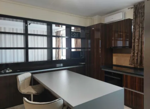 Apartament Bratianu