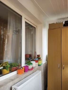 Apartament 3 camere