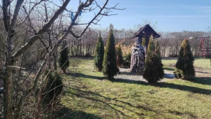 BRASADAS vinde casa cu teren 10 ari in zona Odoreului.