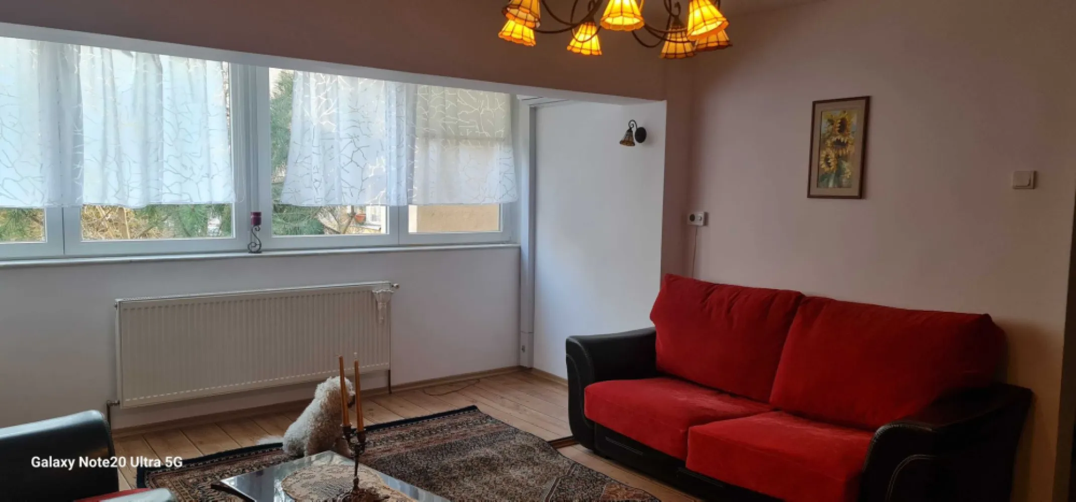 BRASADAS vinde ap 3 cam Careiului. - Agentia imobiliara BRASADAS vinde apartament mare, luminos, si gata de mutat, de 78 mp utili, situat la etajul 1, intr-o zona unde ai TOT ce ai nevoie la doi pasi, construit solid din BCA.
- apartament uscat, cald, luminos
- centrala proprie schimbata acum 2 ani
- instalatie electrica refacuta
- parchet melaminat peste parchetul original
- pereti exteriori doar pe zonele cu ferestre, izolati exterior 
- aer conditionat
- beci generos pentru depozitare
- chicineta la etaj - spatiu comun super util 
- dulap metalic in fata usii - extra depozitare
- bloc cu farmacie si alimentara la parter
- zona plina de magazine, banci, pub-uri la cateva minute
- scoala , gradinita, spitalul judetean in apropiere
Www.brasadas.com.