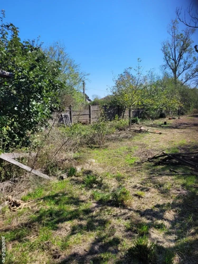BRASADAS vinde casa in Moftinul Mare. - Agenția imobiliara BRASADAS vinde casa in Moftinu Mare in apropierea gari,casa compusa din doua camere salon mic hol baie neamenajata si bucatarie,cu multe anexe in curte, o balta de pescuit iar inca una secata teren 6000 mp intravilan cu doua intrari cu posibilitatea de parcelare,casa se afla intr-o zona retrasa impadurita la 300 metri de vecini,incalzirea se face cu sobe de teracota,apa de la put forat si fantana curentul in momentul de fata este debransat necesita schimbat transformatorul care va fi facut de cei de la electrica. 
In pret este inclus un kit de 3 kw.
www.brasadas.com.